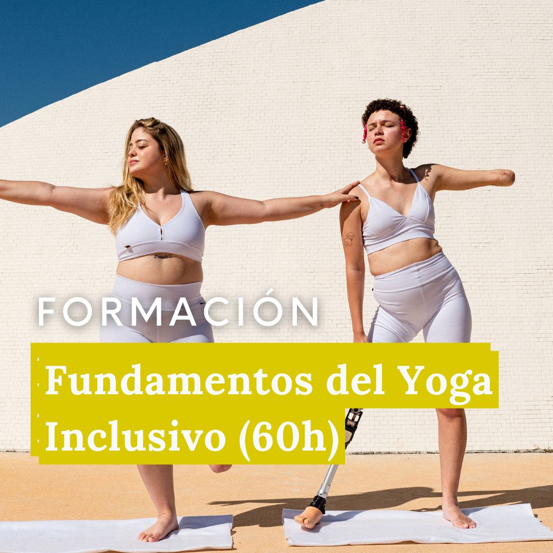 Adaptar clases a distintas capacidades