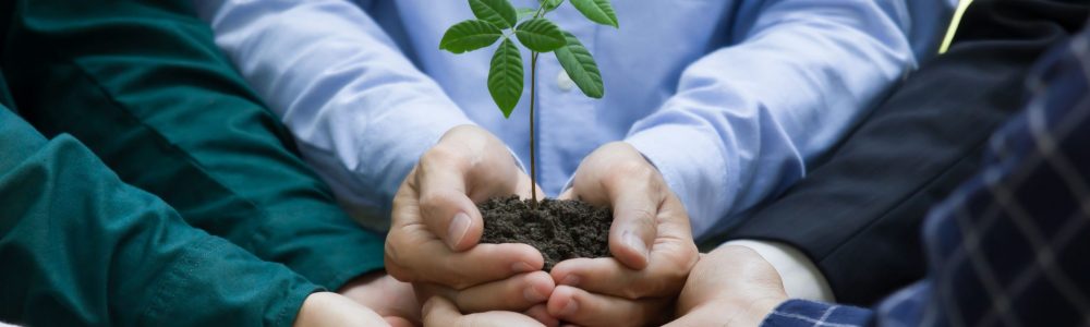Profesionales con planta